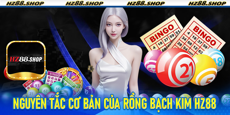 Nguyên tắc cơ bản của Rồng Bạch Kim HZ88
